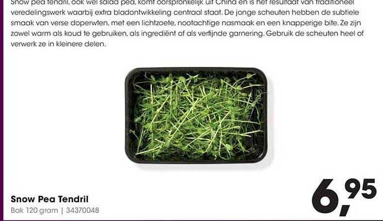 Snow Pea Tendril
