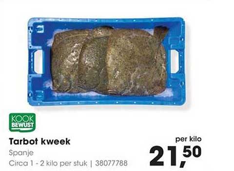 Tarbot kweek
