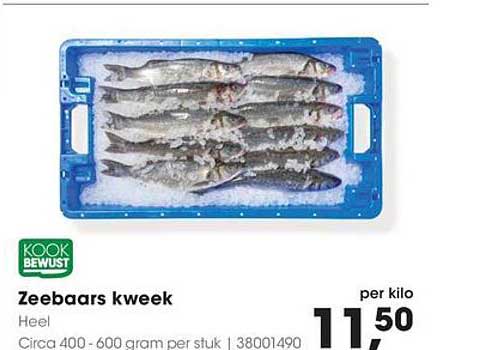 Zeebaars kweek