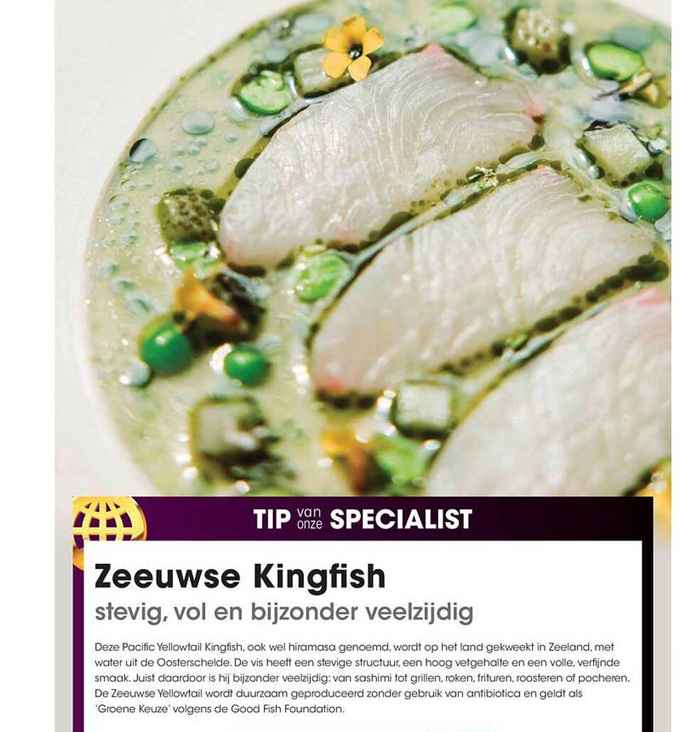 Zeeuwse Kingfish