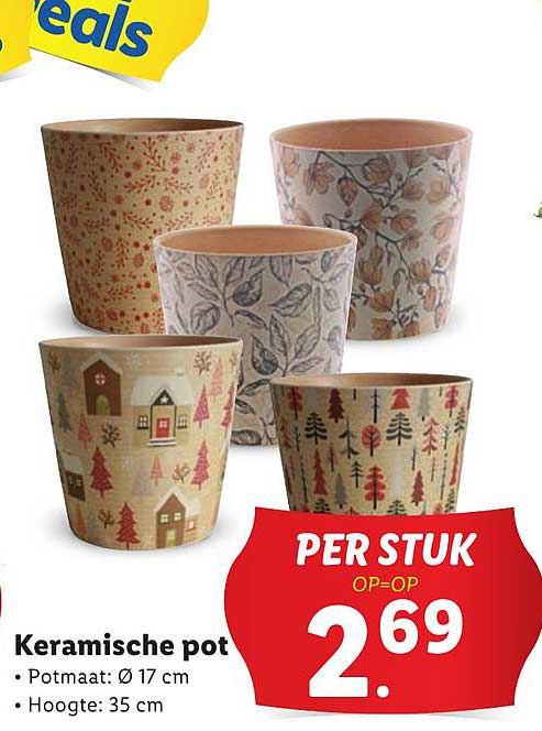 Sitemapcdatahttpsshopinf Inetcombananier En Pot Lidl