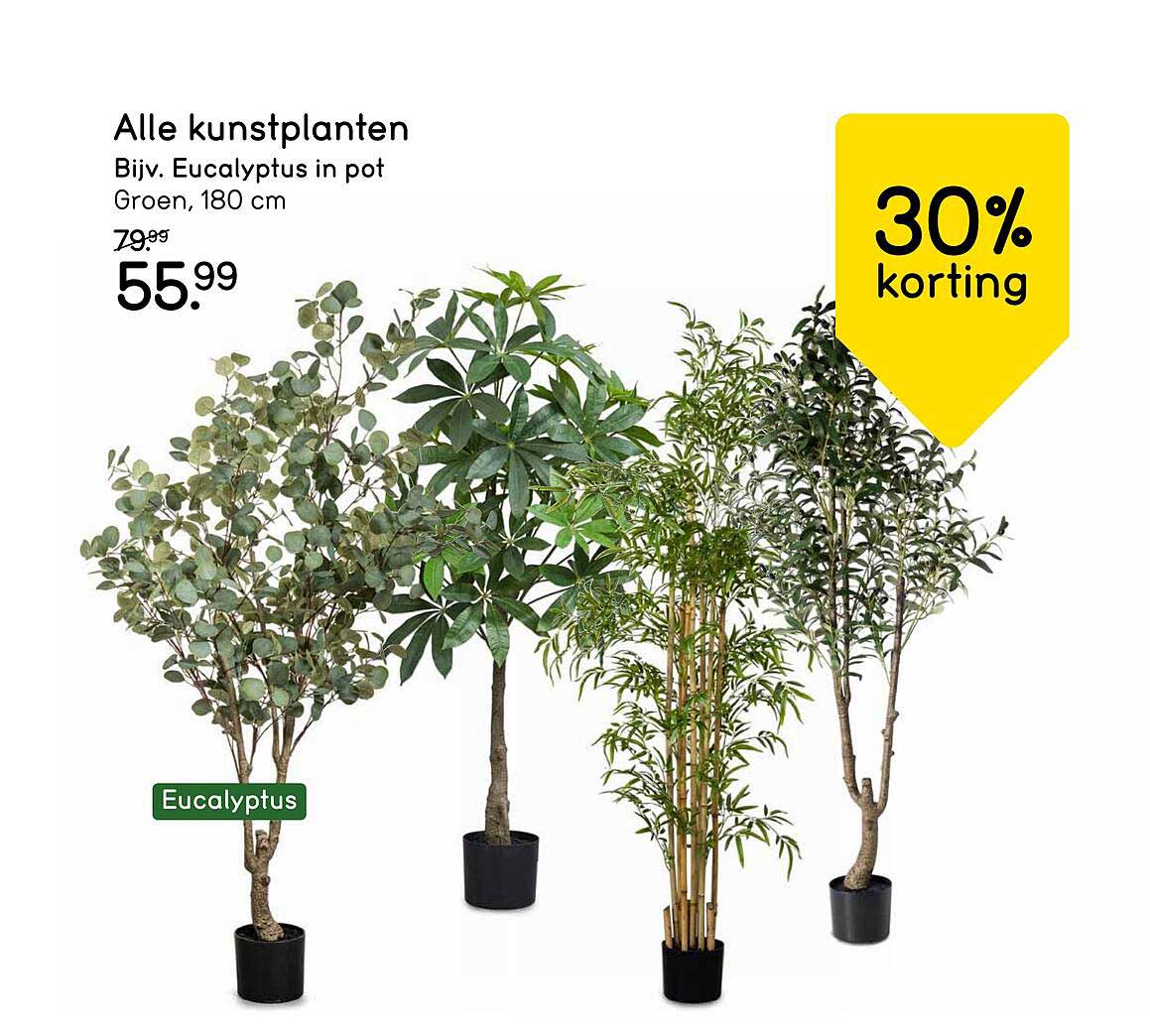 Alle kunstplanten - Bijv. Eucalyptus in pot Groen, 180 cm