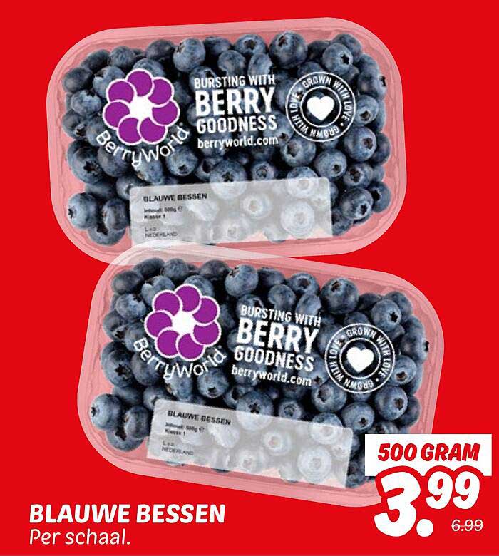 BLAUWE BESSEN