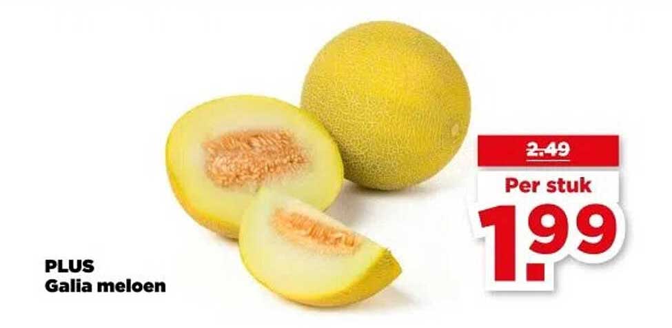 PLUS Galia meloen
