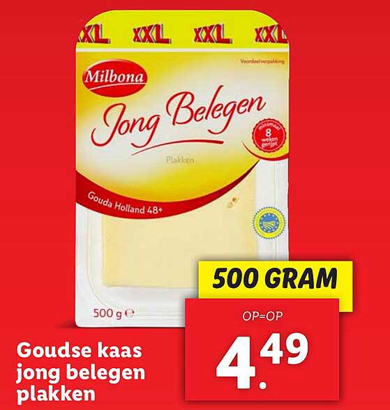 Goudse kaas jong belegen plakken