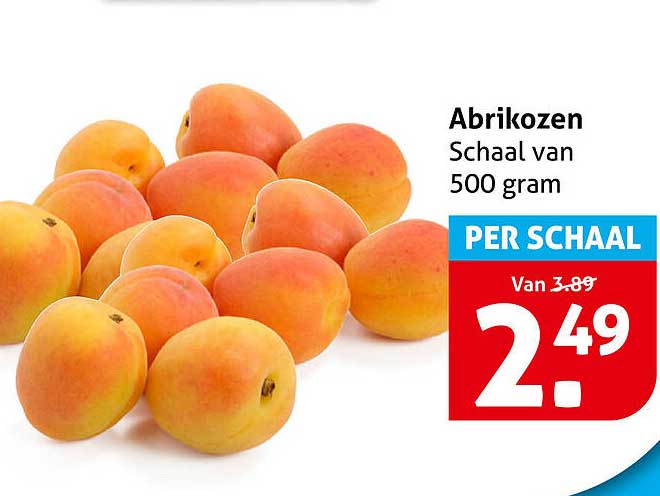 Abrikozen Schaal van 500 gram