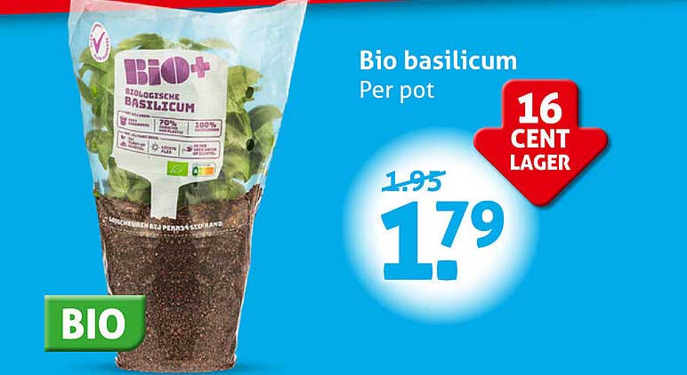 Bio basilicum