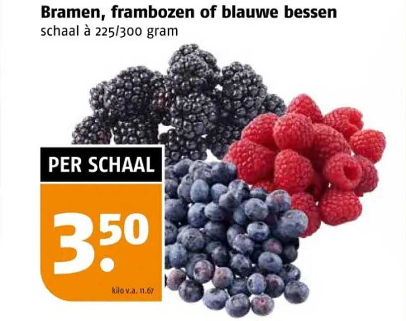 Bramen, frambozen of blauwe bessen schaal à 225/300 gram
