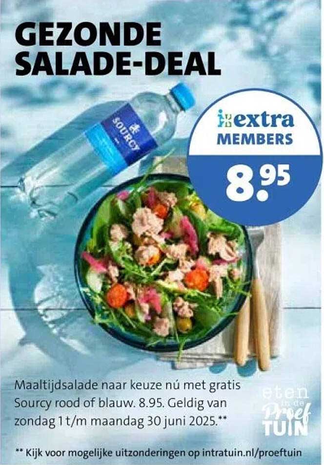 GEZONDE SALADE-DEAL