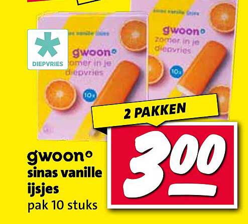 gwoon sinaas vanille ijsjes pak 10 stuks