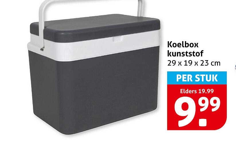 Koelbox kunststof 29 x 19 x 23 cm