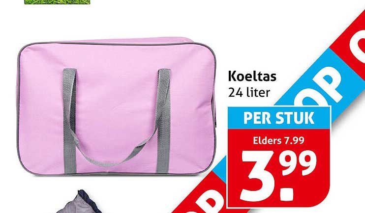 Koeltas 24 liter