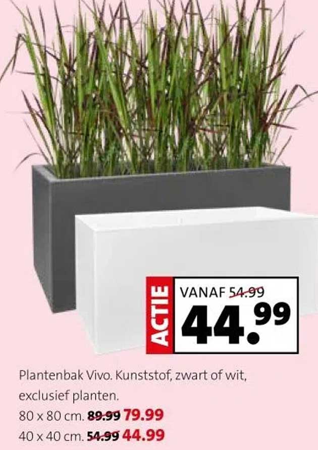 Plantenbak Vivo. Kunststof, zwart of wit, exclusief planten.