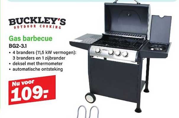 Gas barbecue BG2-3.1