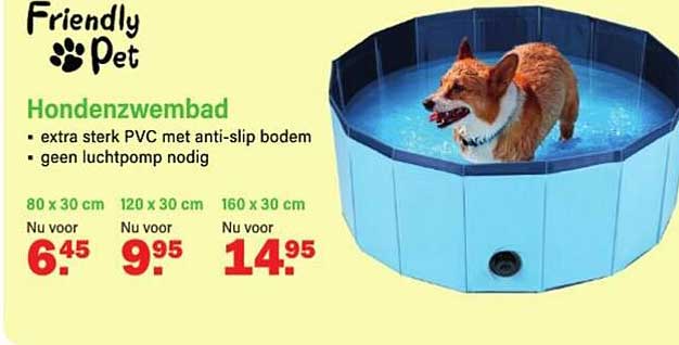 Hondenzwembad