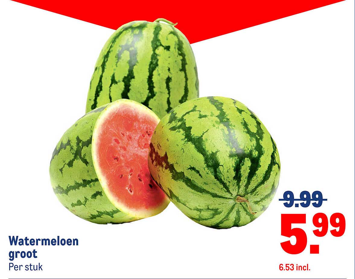 Watermelon groot