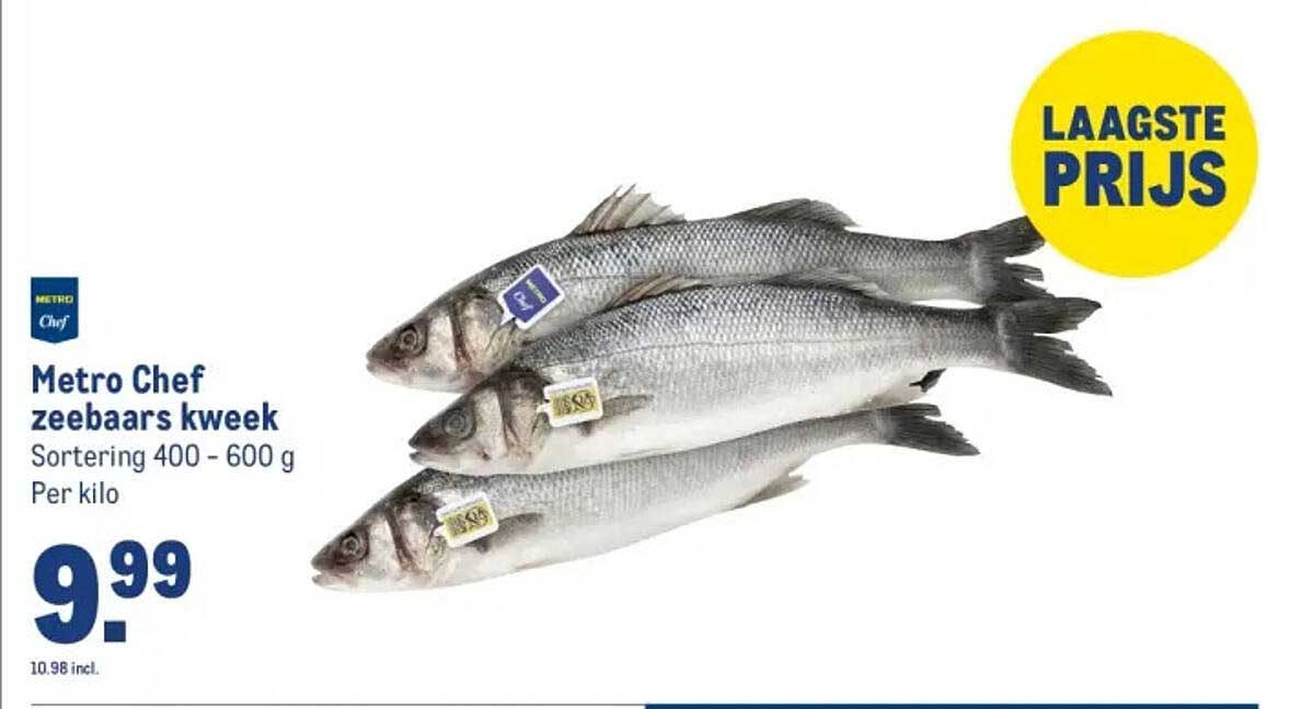 Metro Chef zeebaars kweek