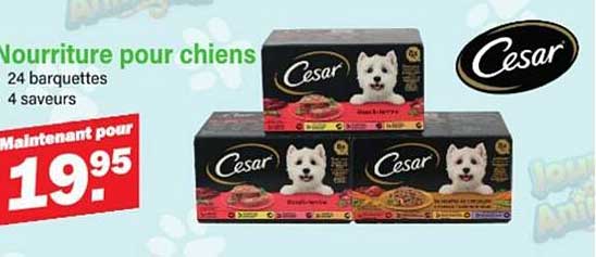 Nourriture pour chiens - 24 barquettes