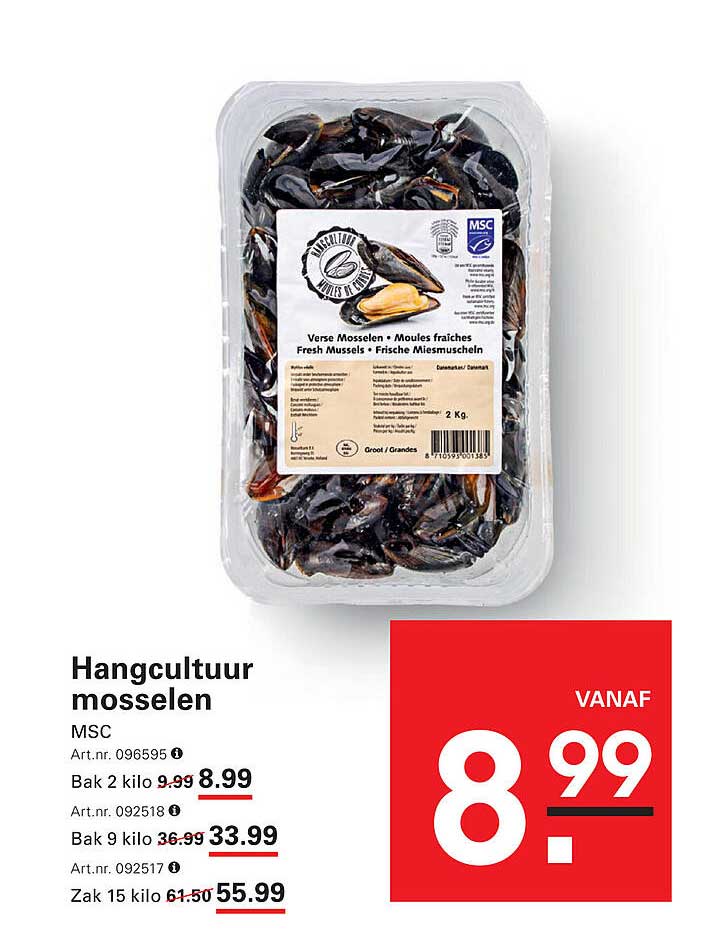 Hangcultuur mosselen