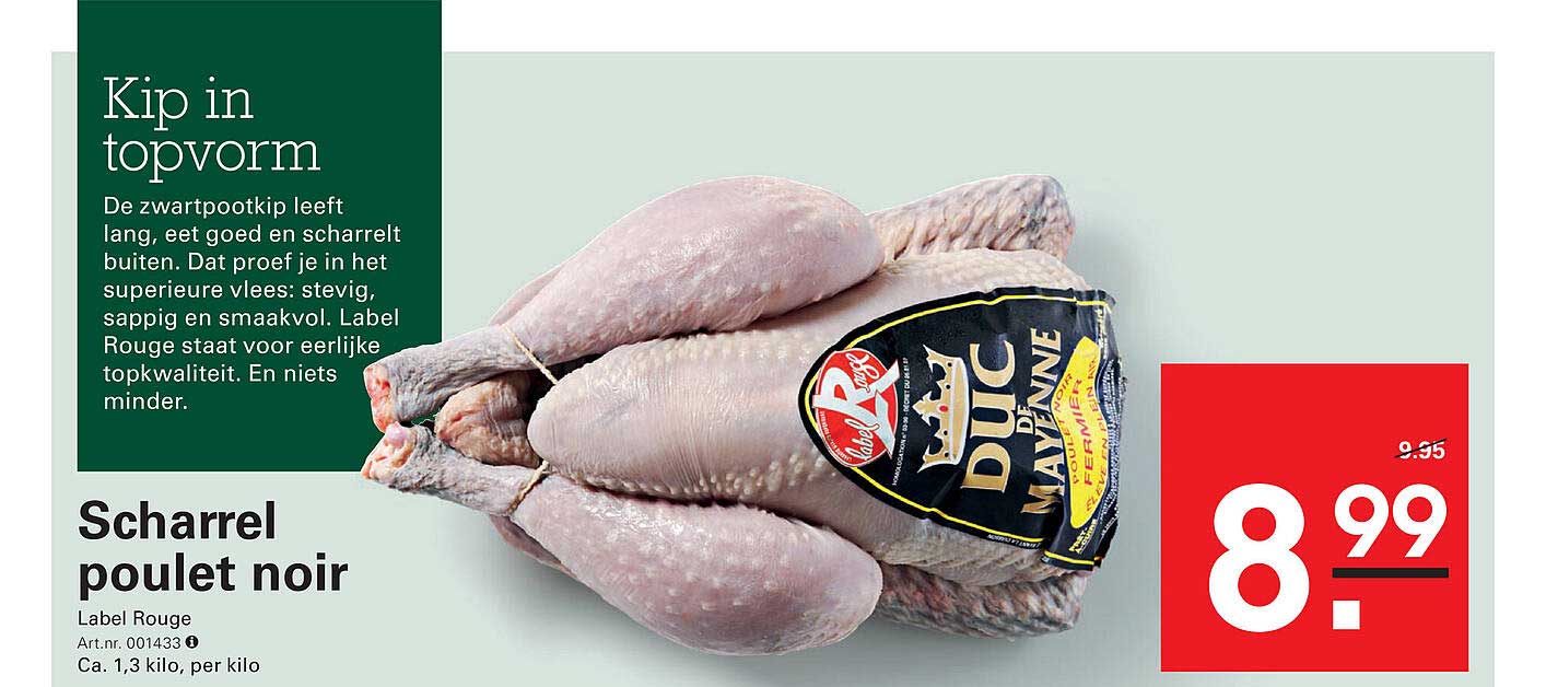 Scharrrel poulet noir