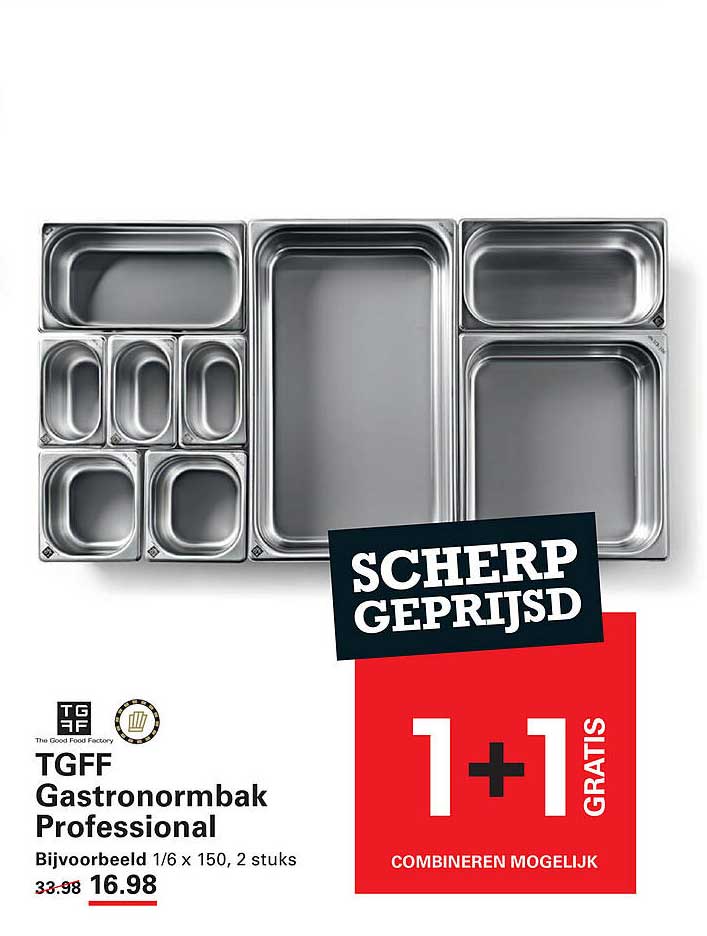 TGFF Gastroormbak Professional