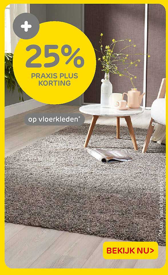 25% Praxis Plus korting op vloerkleden*
