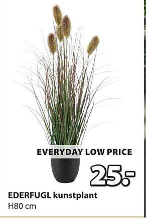 EVERYDAY LOW PRICE EDERFUGL kunstplant H80 cm