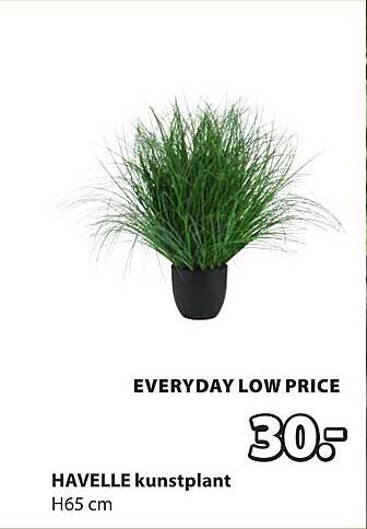 HAVELLE kunstplant H65 cm