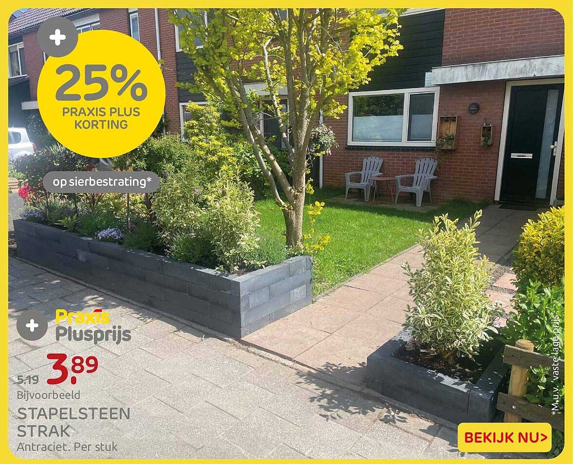 25% PRAXIS PLUS KORTING op siertegels