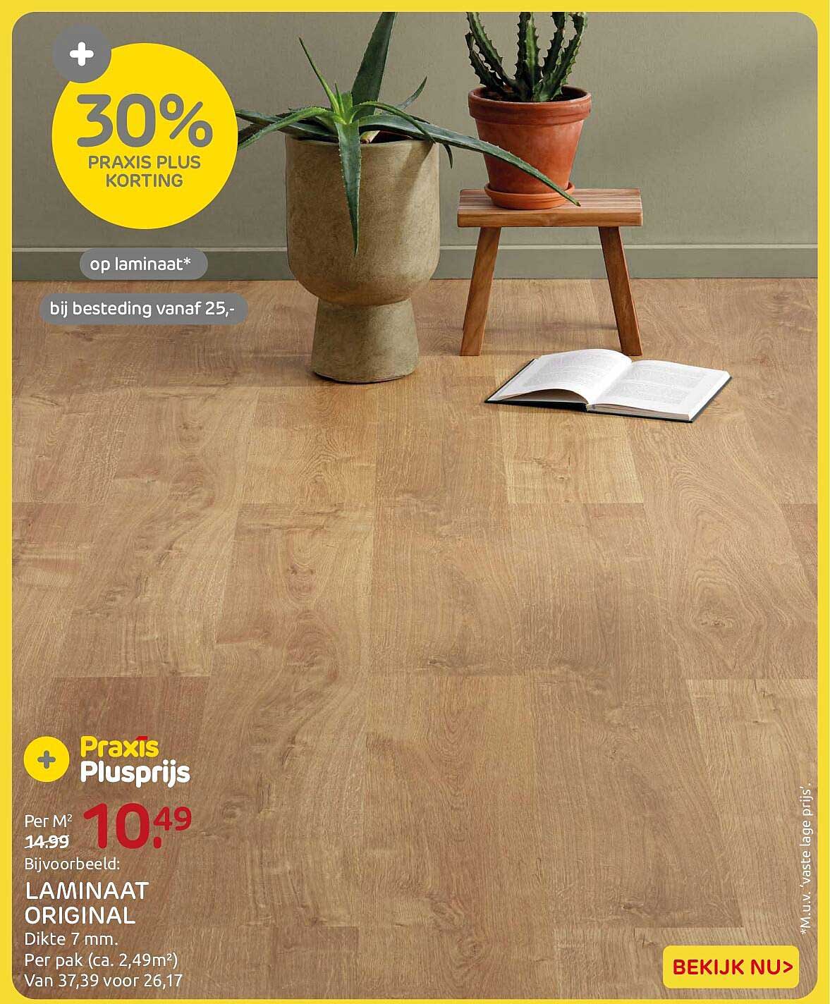 30% PRAXIS PLUS KORTING op laminaat* bij besteding vanaf 25,-