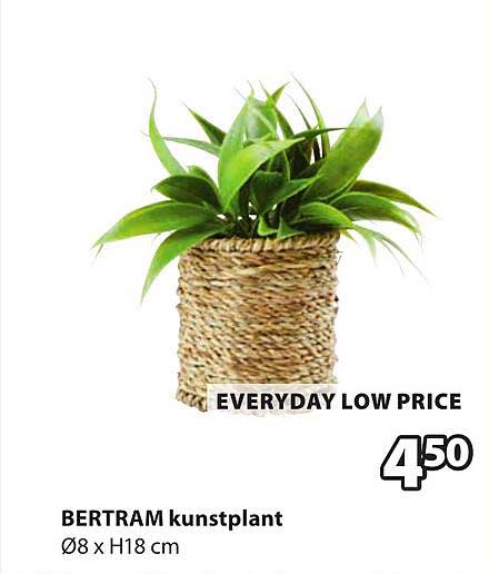 BERTRAM kunstplant