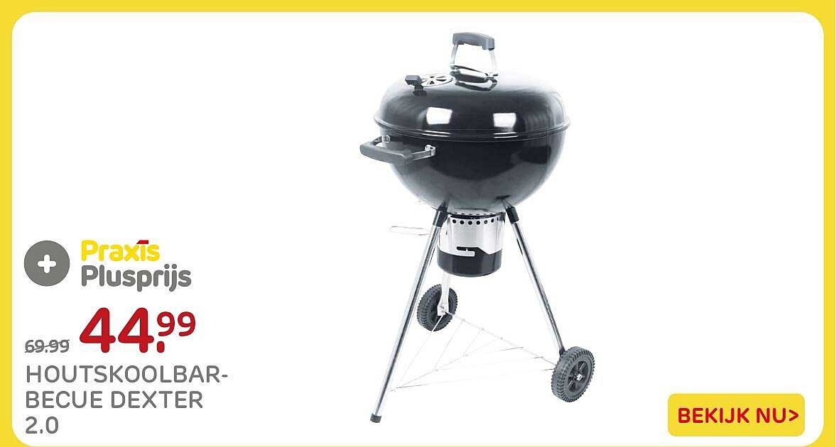 HOUTSKOOLBAR-BECUE DEXTER 2.0