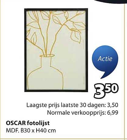 OSCAR fotolijst
