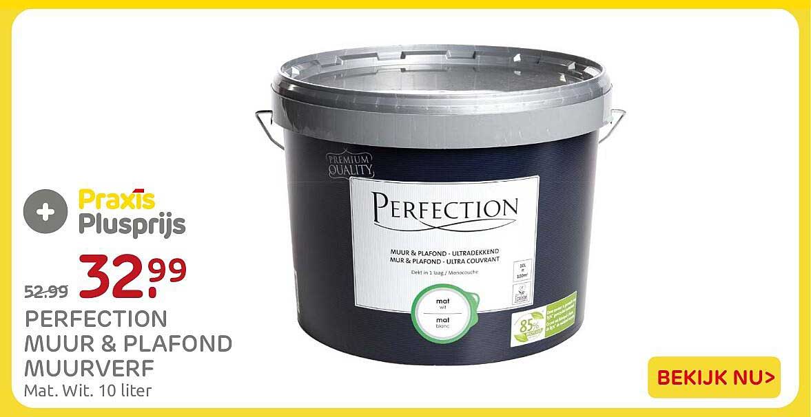 PERFECTION MUUR & PLAFOND MUURVERF