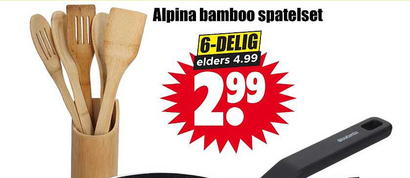 Alpina bamboe spatelsset 6-delig elders 4.99