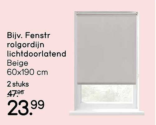 Bijv. Fenstr rolgordijn lichtdoorlatend Beige 60x190 cm 2 stuks