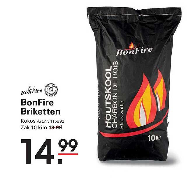 BonFire Briketten