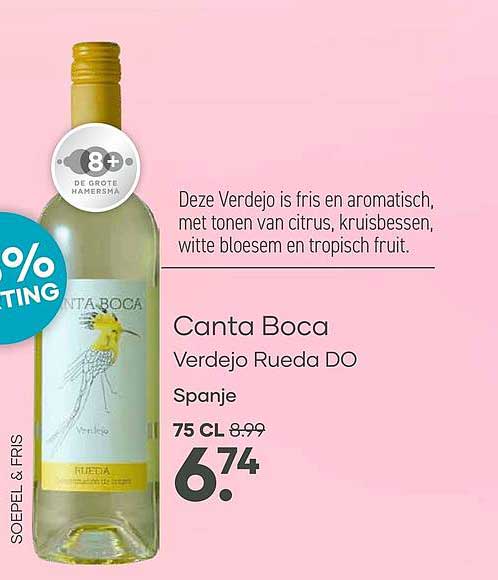 Canta Boca Verdejo Rueda DO Spanje