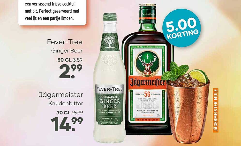 Fever-Tree Ginger Beer