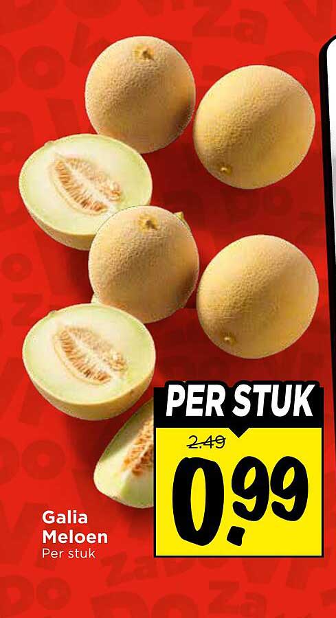 Galia Meloen Per stuk