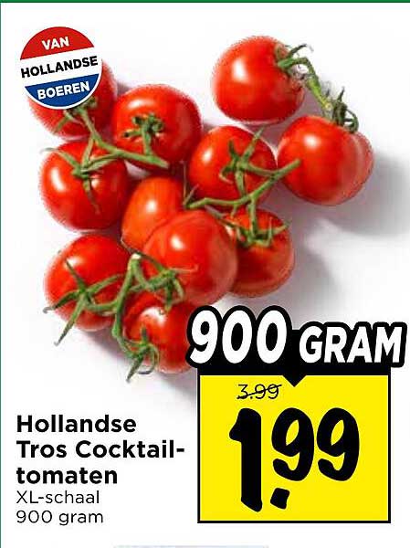 Hollandse Trost cocktailtomaten XL-schaal 900 gram