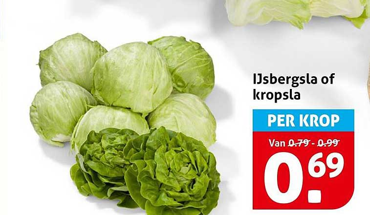 IJsbergsla of kropsla PER KROP