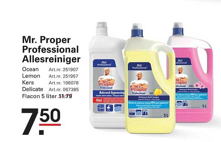 Mr. Proper Professional Allesreiniger