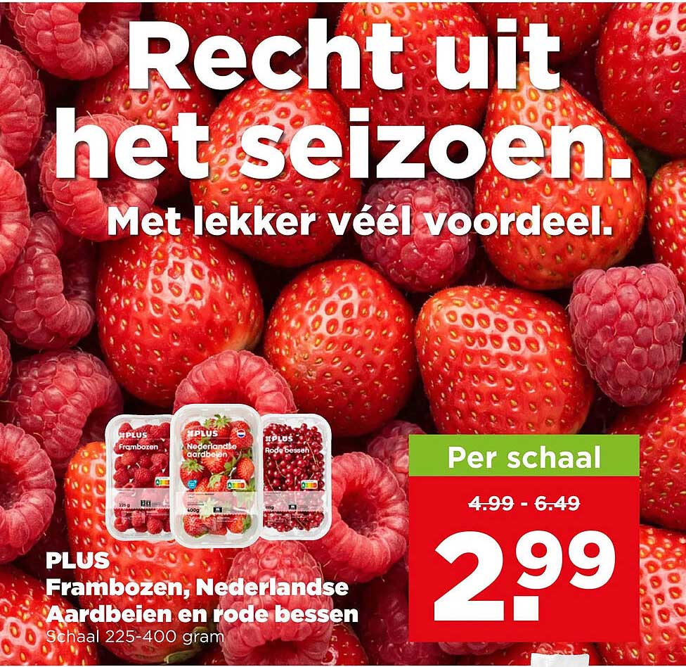 PLUS Frambozen, Nederlandse Aardbeien en rode bessen