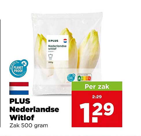 PLUS Nederlandse Witlof Zak 500 gram