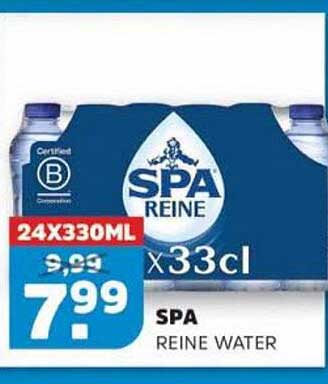 SPA REINE WATER 24x33cl