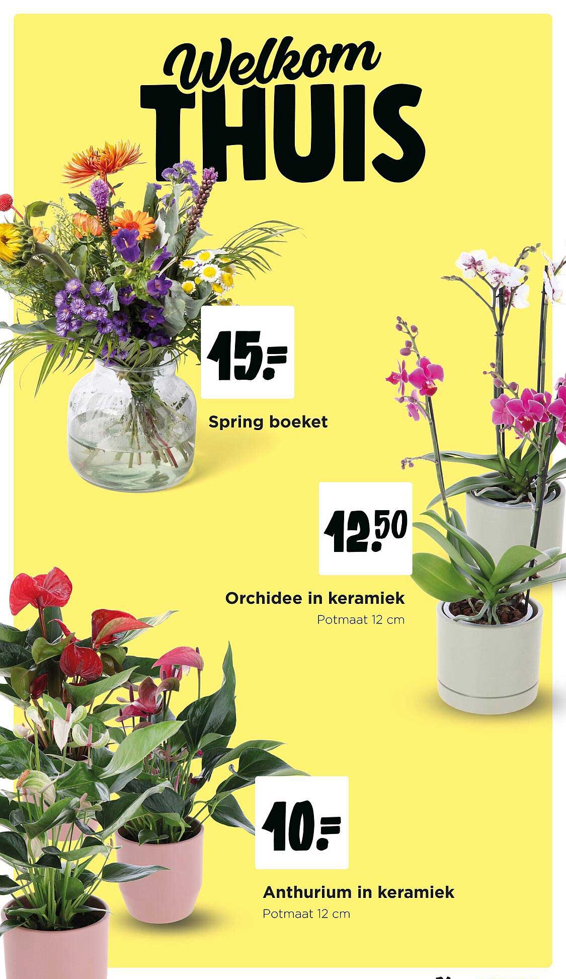 Spring boeket