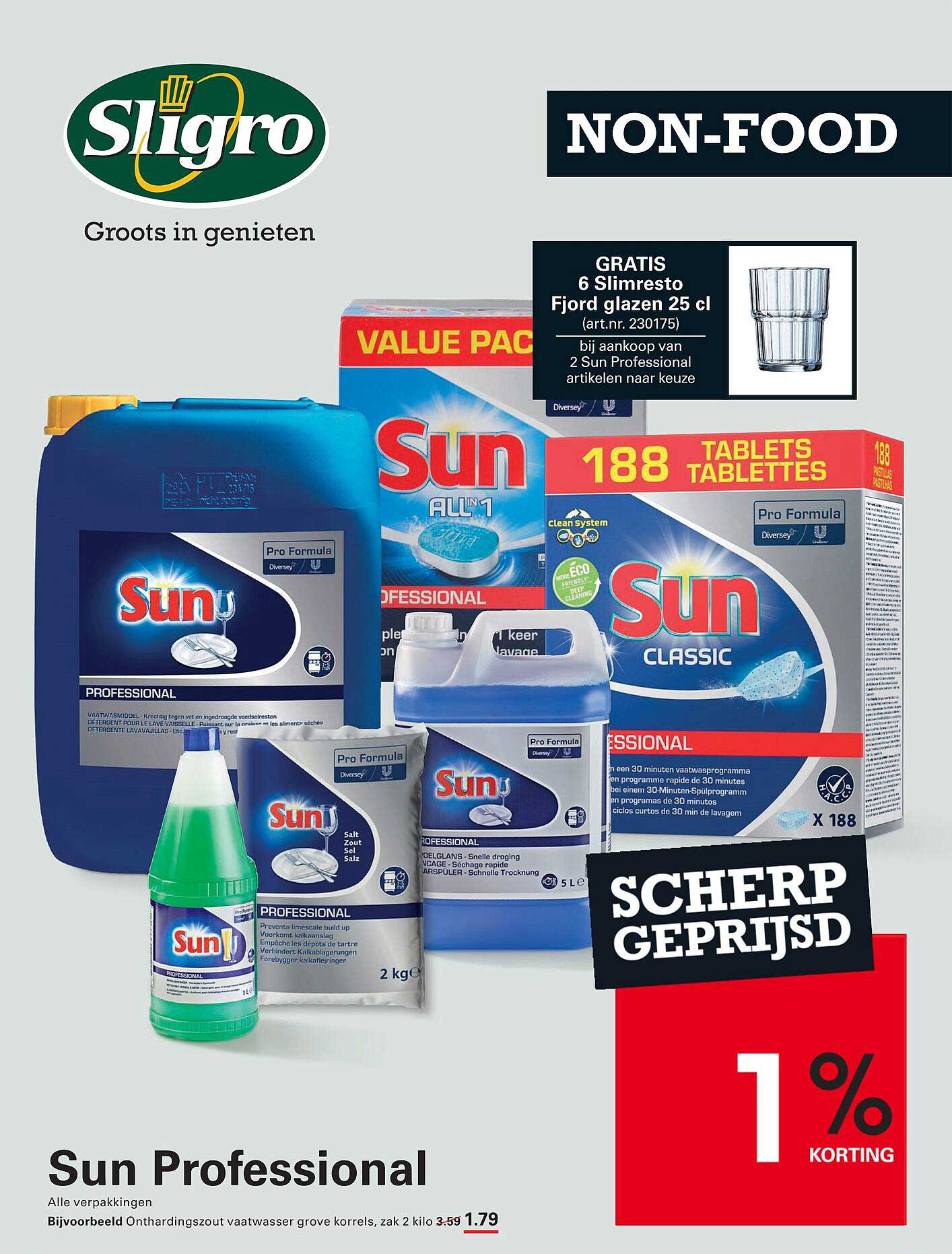 Sun Professional