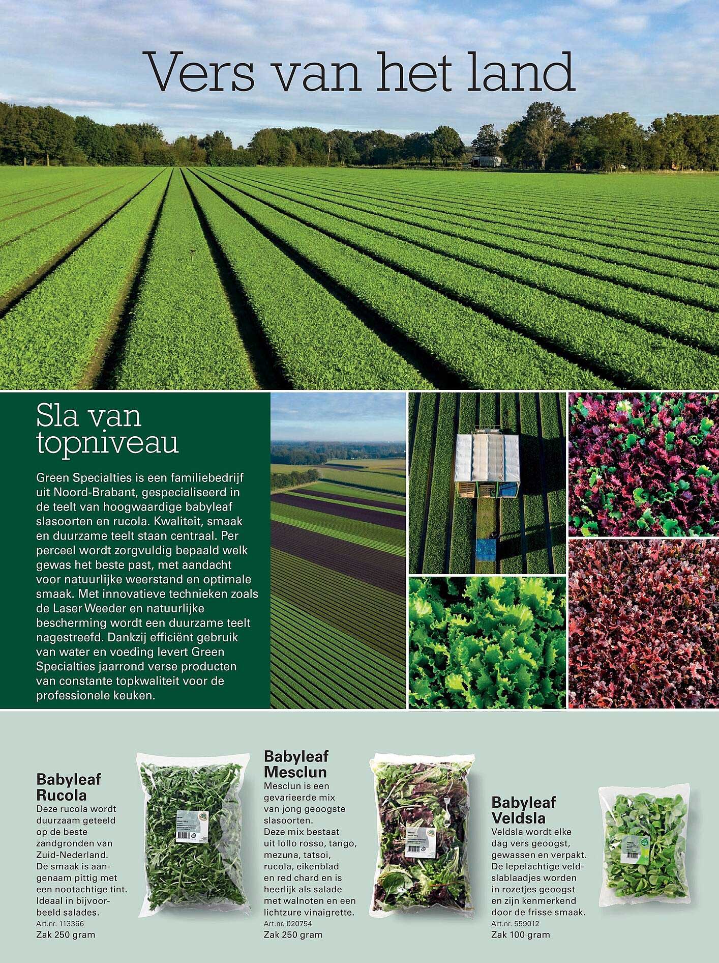 Vers van het land