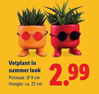 Vetplant in summer look